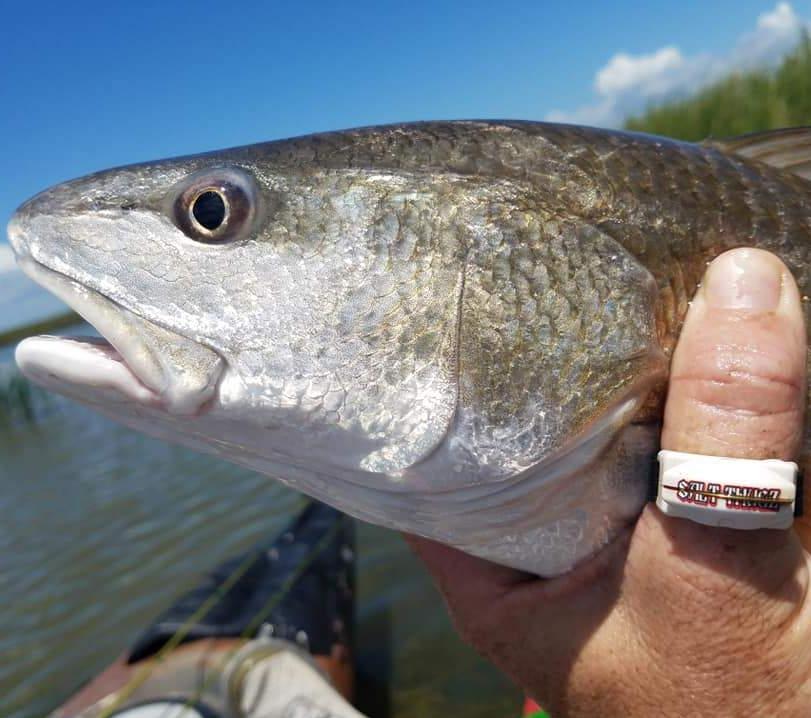 Custom Printed Line Cutterz Rings - Add Your Logo! Cutter Ring Line Cutterz