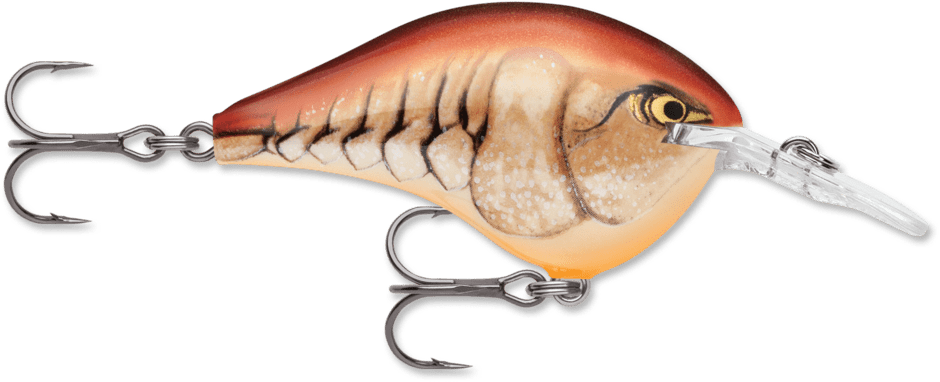 Rapala - DT Series Crankbait Rapala 6' Mule 