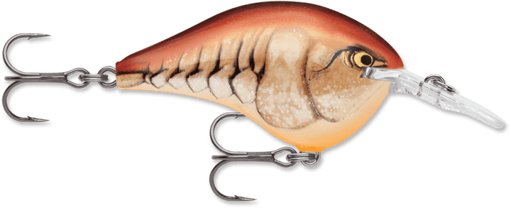 Rapala - DT Series Crankbait Rapala 6' Mule 