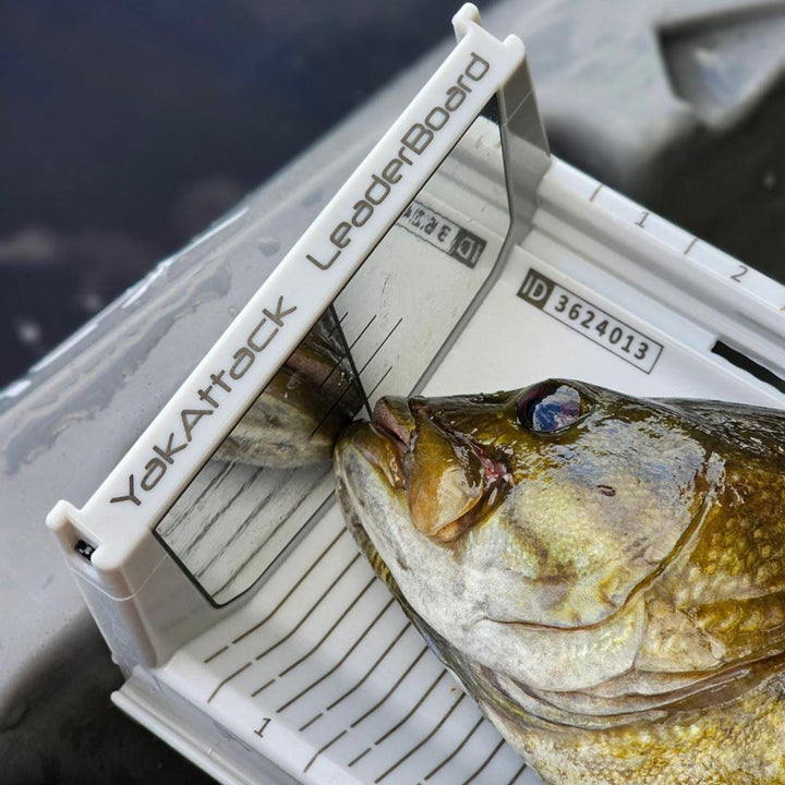 LeaderBoard - 28" Measuring Board with Built-In Identifier Holders and Cull Tabs, Overcast Grey YakAttack 