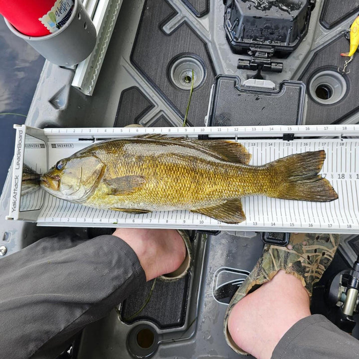 LeaderBoard - 28" Measuring Board with Built-In Identifier Holders and Cull Tabs, Overcast Grey YakAttack 