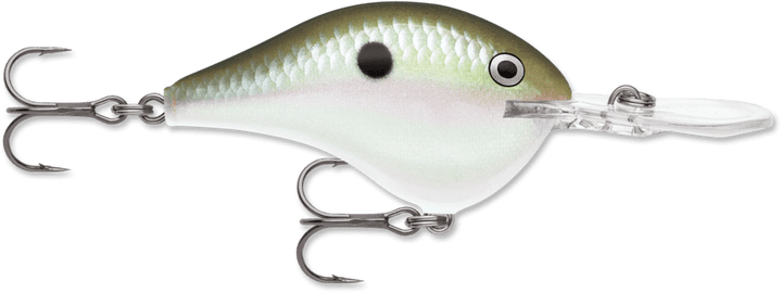 Rapala - DT Series Crankbait Rapala 16' Green Gizzard Shad 