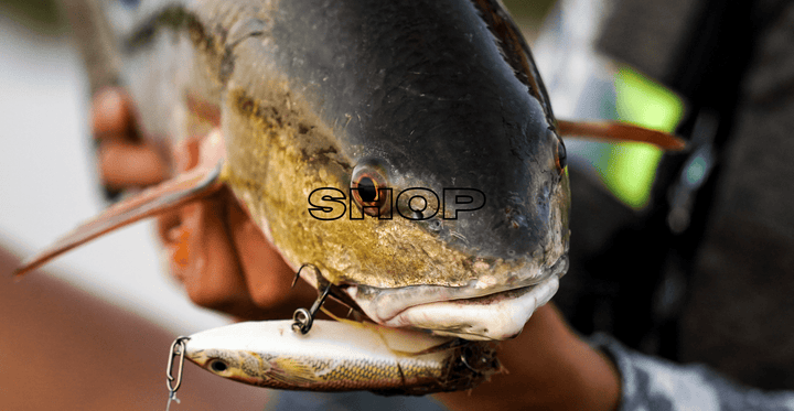 Topwater Co Speed Clips (15-45-70-120lbs) Topwater Co 