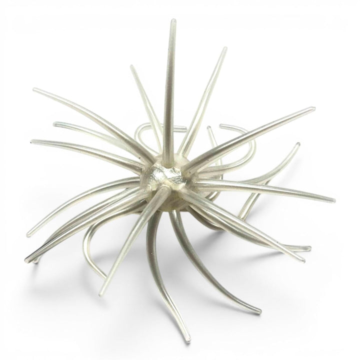 Pro Fish Gear Urchin Soft Plastic Bass Baits – Bass Buffet Collection Line Cutterz Marshmellow Shad 