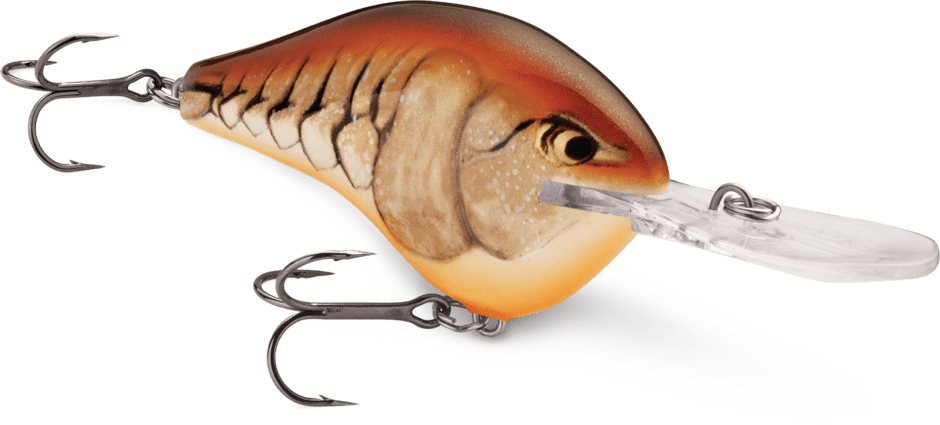 Rapala - DT Series Crankbait Rapala 10' Mule 