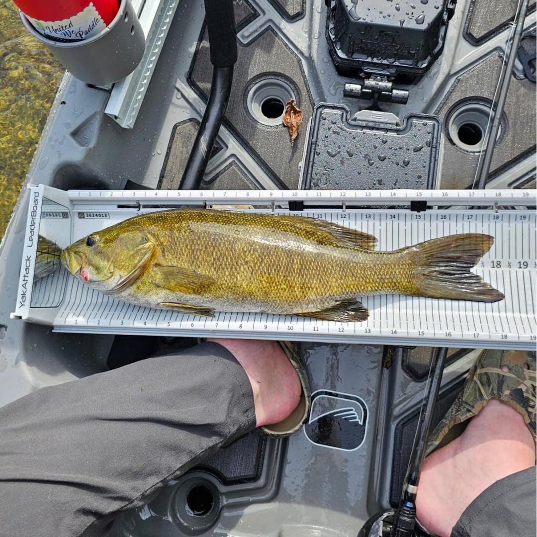 LeaderBoard - 28" Measuring Board with Built-In Identifier Holders and Cull Tabs, Overcast Grey YakAttack 