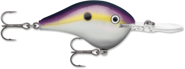 Rapala - DT Series Crankbait Rapala 16' Big Shad 