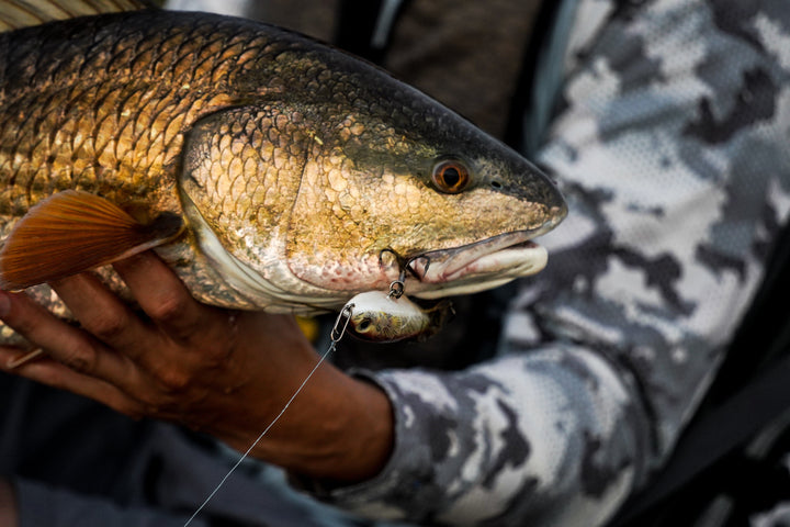 Small Speed Clips (45lbs) Topwater Co 