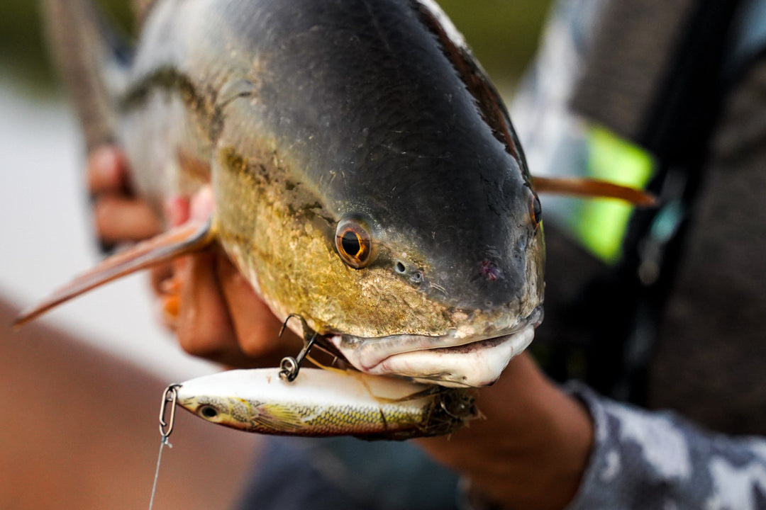 Small Speed Clips (45lbs) Topwater Co 