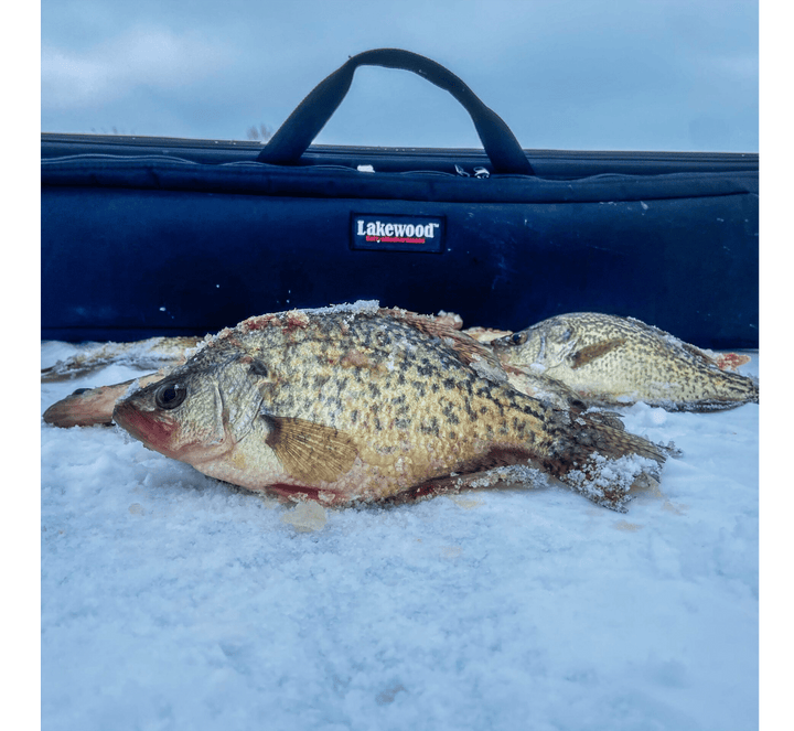 Ice Rod Caddy - 3 Sizes Available! Fishing Rod Lakewood Products 