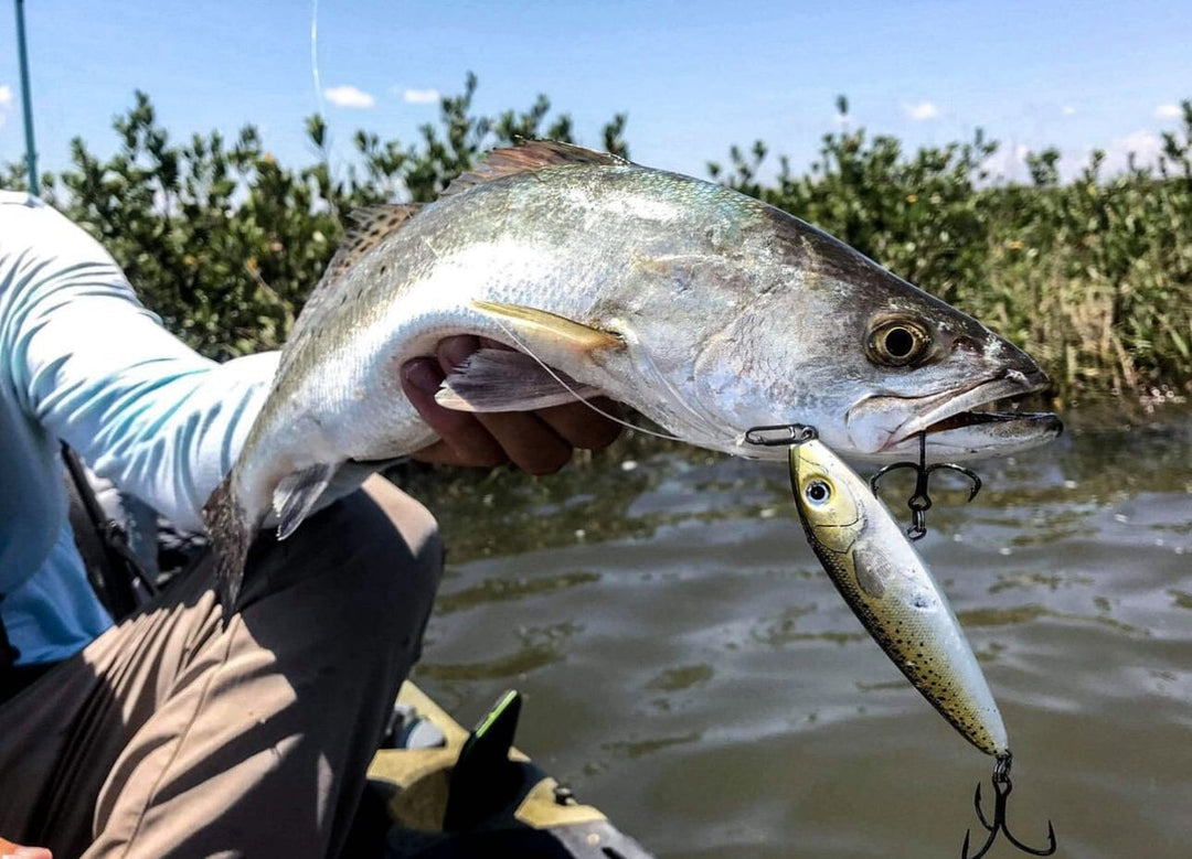 Small Speed Clips (45lbs) Topwater Co 