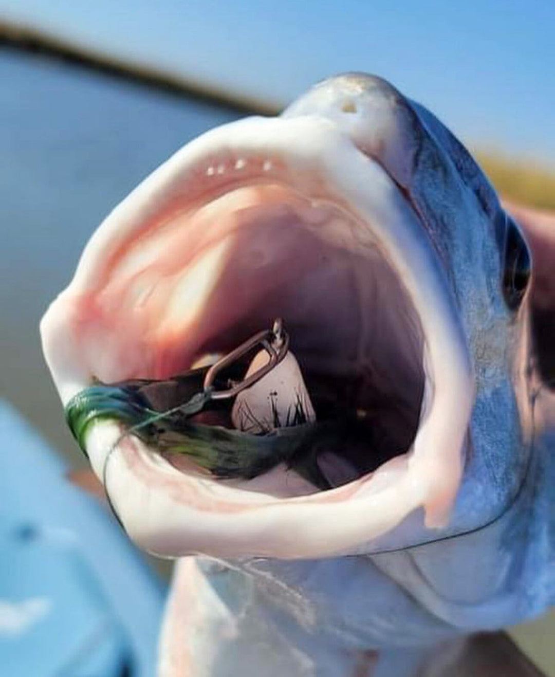 Small Speed Clips (45lbs) Topwater Co 