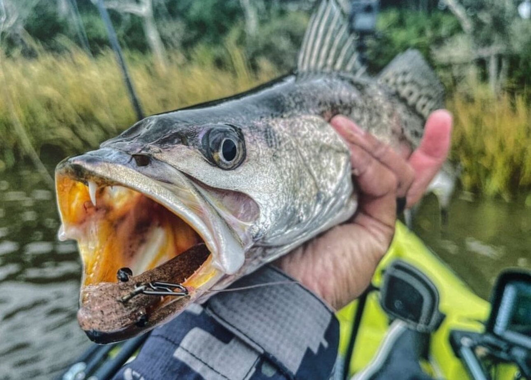 Small Speed Clips (45lbs) Topwater Co 