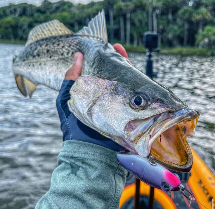 Small Speed Clips (45lbs) Topwater Co 