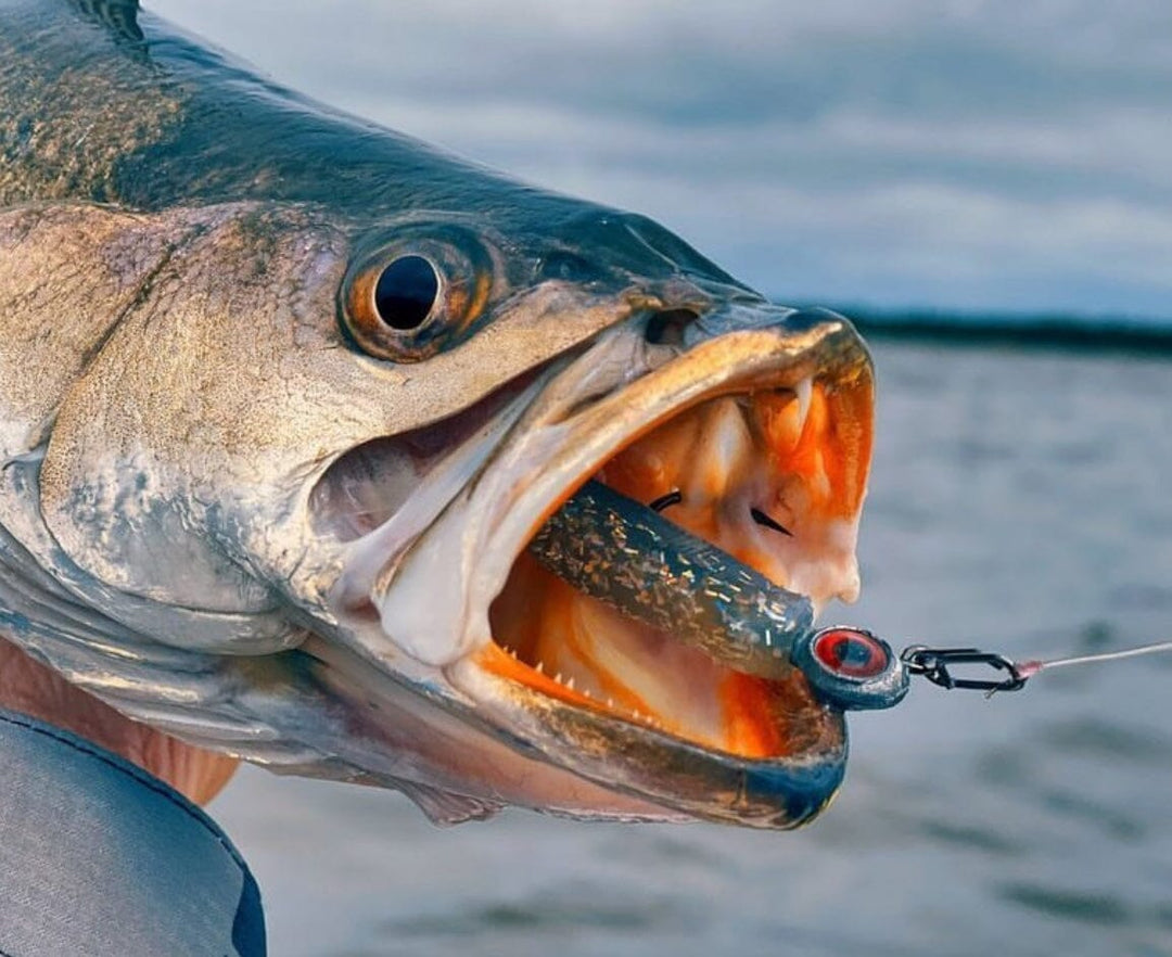 Small Speed Clips (45lbs) Topwater Co 