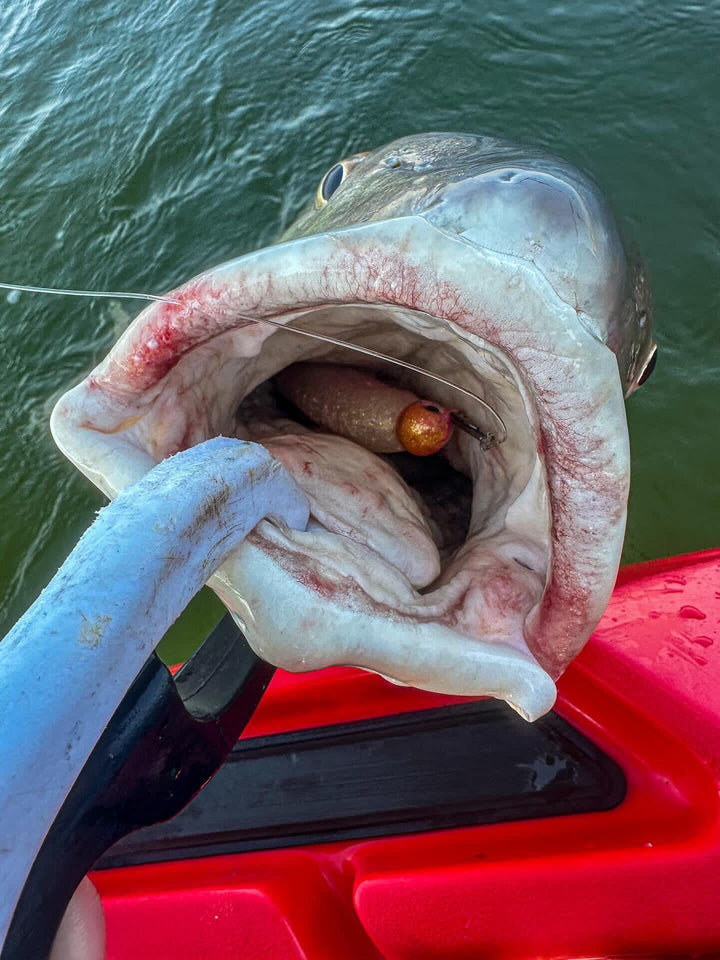 Large Speed Clips (120lbs) Topwater Co 