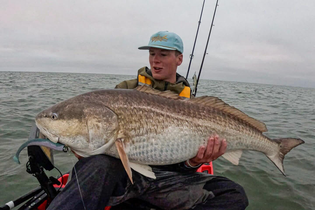 Large Speed Clips (120lbs) Topwater Co 