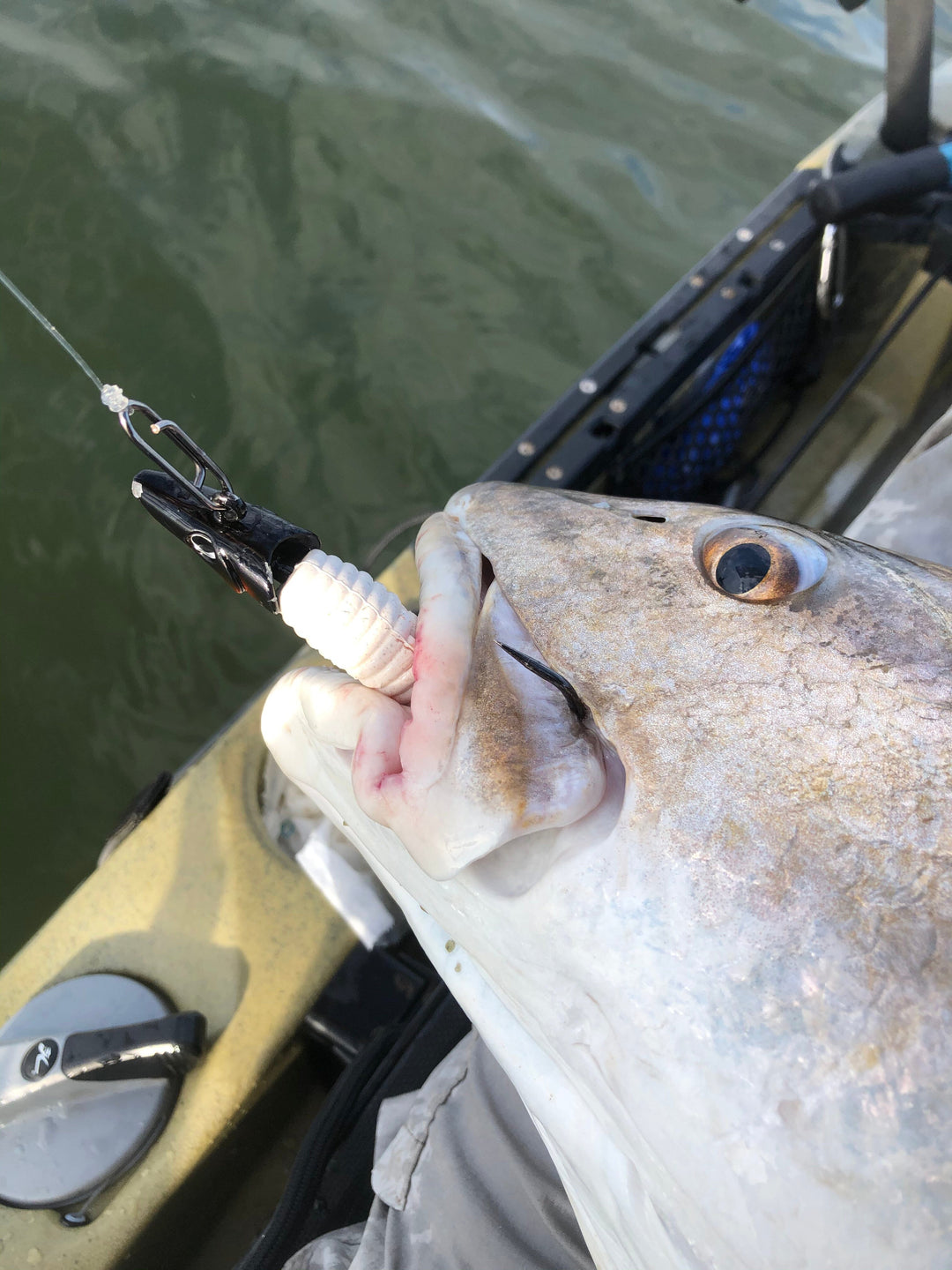 Medium Speed Clips (70lbs) Topwater Co 