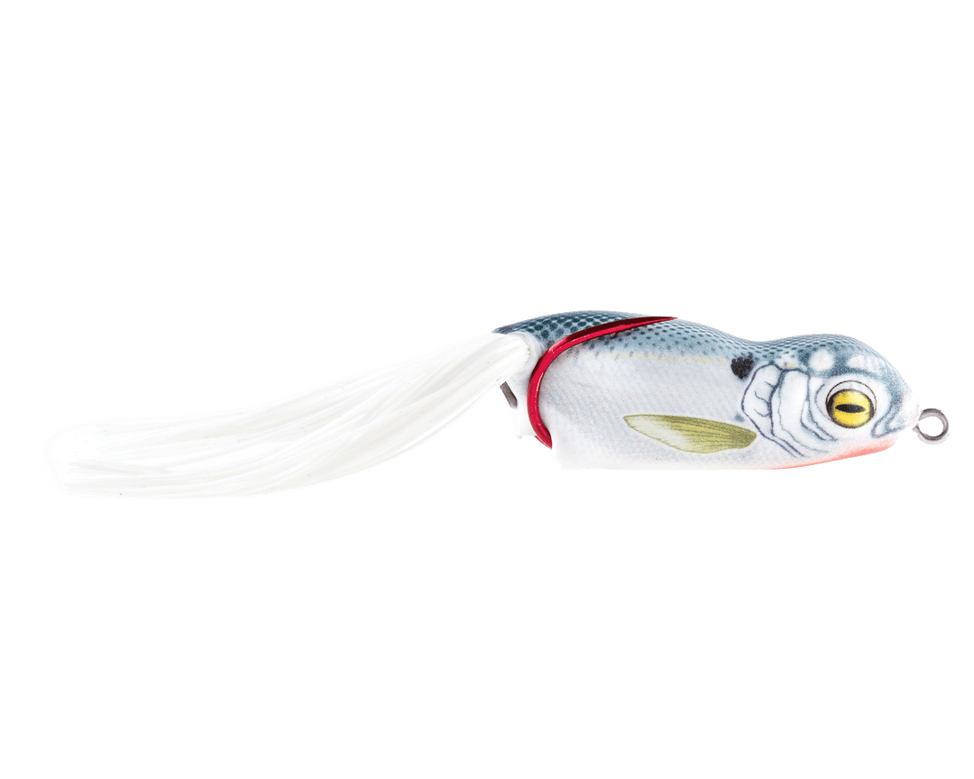 Scum Frog - Launch Frog Scum Frog Shad 