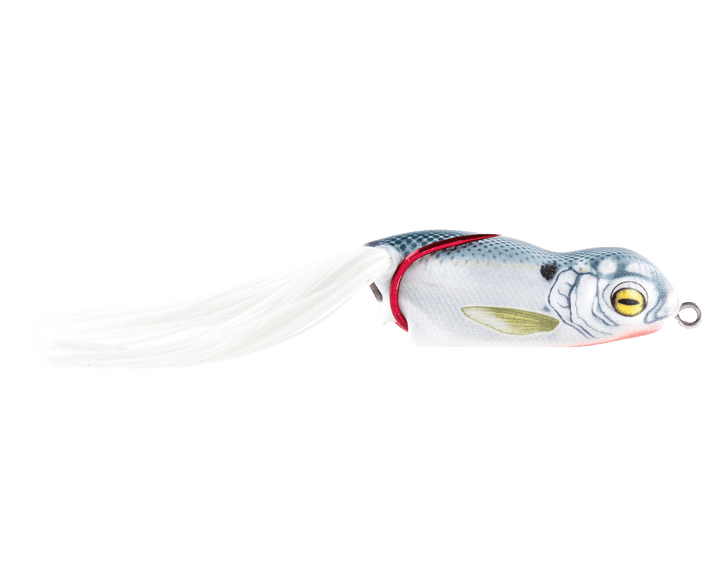 Scum Frog - Launch Frog Scum Frog Shad 