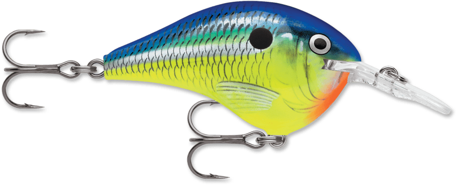 Rapala - DT Series Crankbait Rapala 8' Parrot 