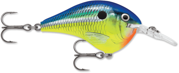 Rapala - DT Series Crankbait Rapala 8' Parrot 