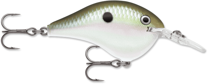 Rapala - DT Series Crankbait Rapala 6' Green Gizzard Shad 