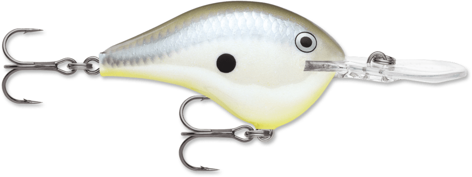 Rapala - DT Series Crankbait Rapala 10' Disco Shad 