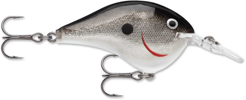 Rapala - DT Series Crankbait Rapala 6' Silver 