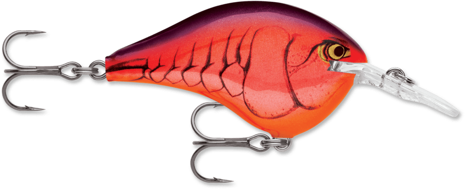 Rapala - DT Series Crankbait Rapala 8' Demon 