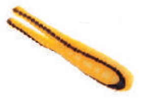 Betts Spin with Exxtra Bait Betts Tackle Ltd 1/16oz 1-1/2in Split Tail Beetle Yellow/Black Stripes