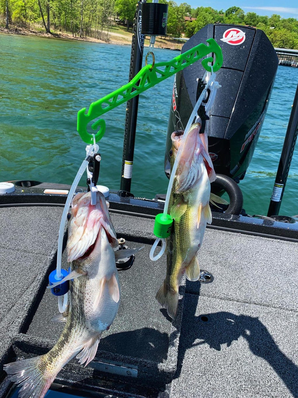 Money Beam Cal Coast Fishing 