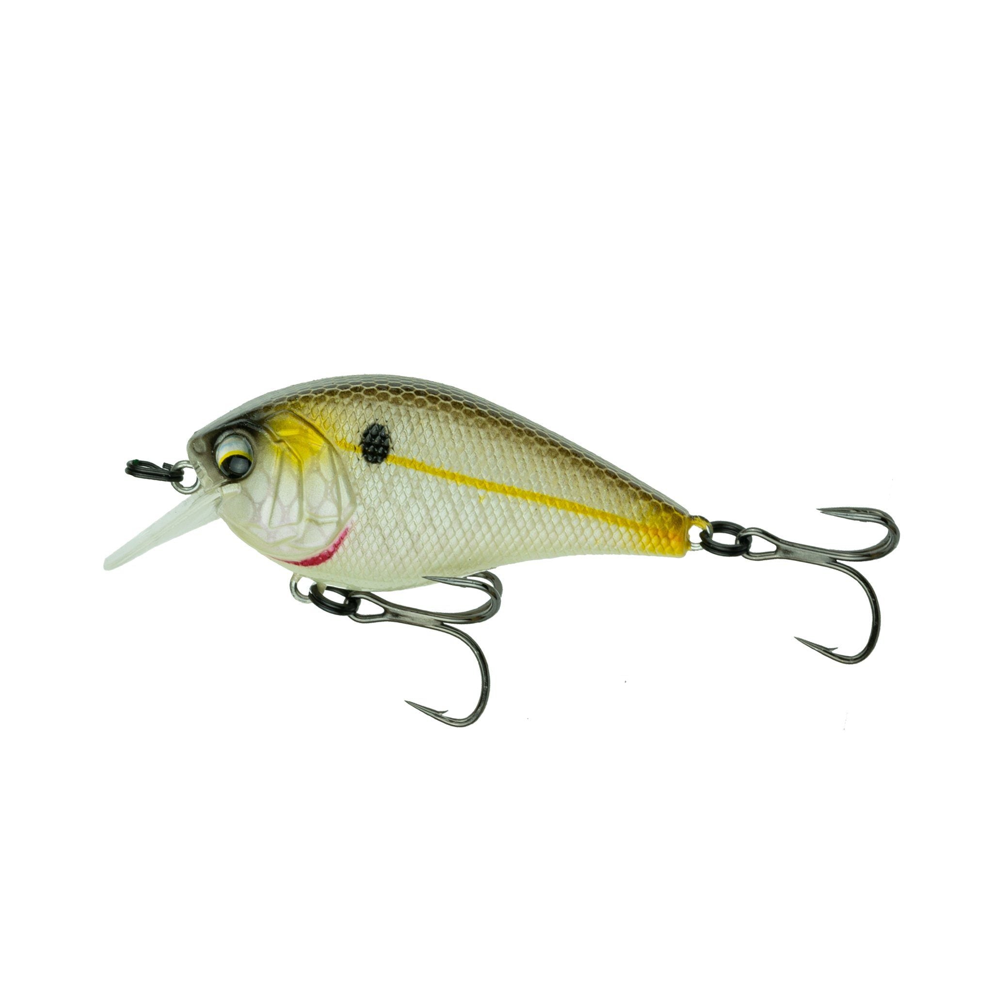 ルアー・フライ Riddle baits Andrea100 Amazon.com : BANDIT LURES Crankbait Series 100 200 & 300