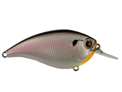 Daiwa Evergreen Flat Force 4 Crankbait Daiwa Cold Shad 