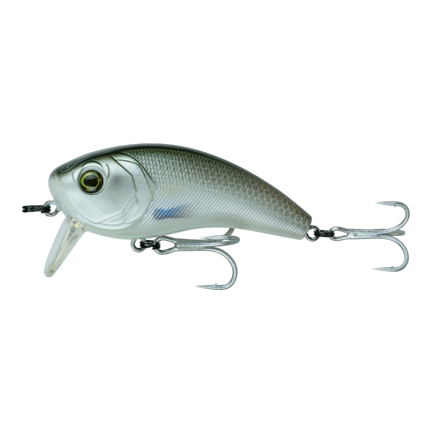 6th Sense - Movement 80WK Saltwater Lure 6th Sense Lure Co Live Mullet 