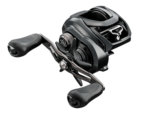 Daiwa - Tatula 300XS - Baitcast Reel - 8.1:1 Daiwa 
