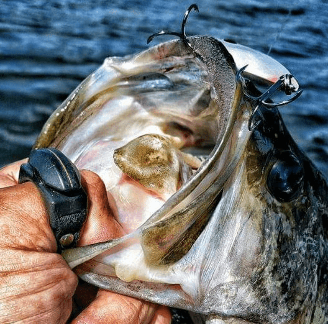 Package Deal! 5 Black Line Cutterz Rings Cutter Ring Line Cutterz 