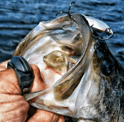 Package Deal! 5 Black Line Cutterz Rings Cutter Ring Line Cutterz 