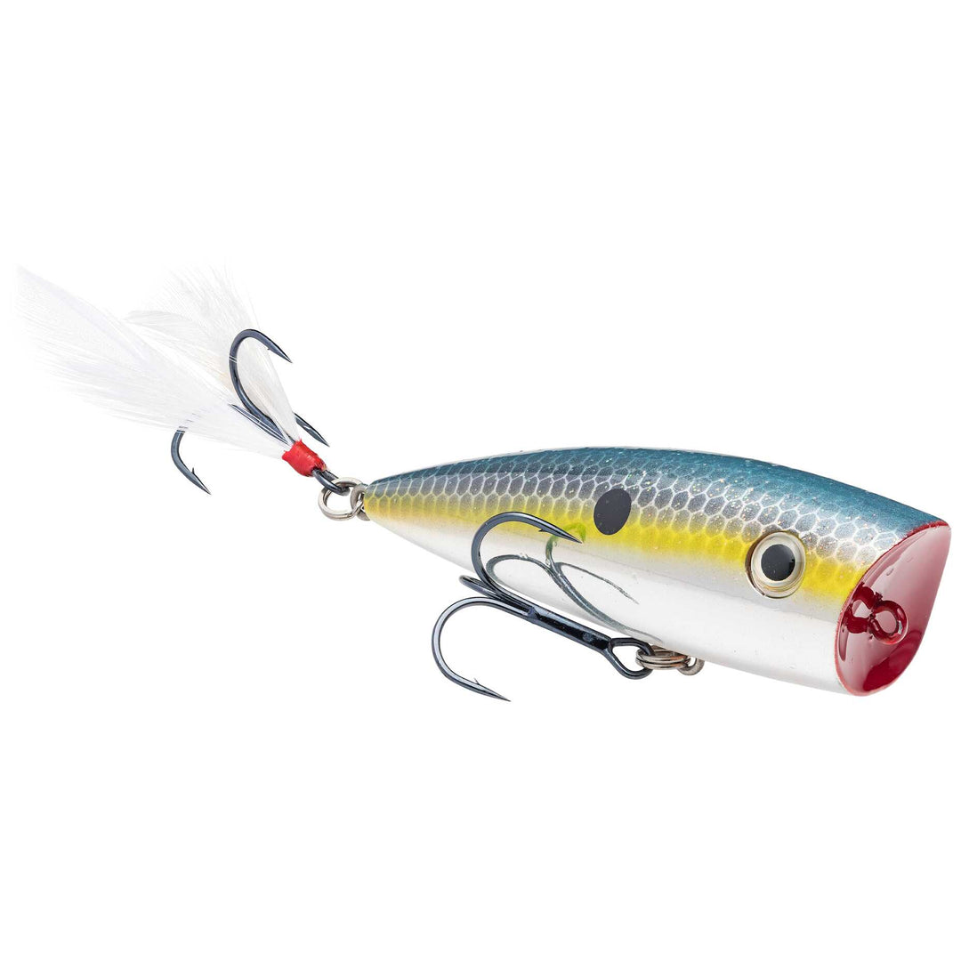 KVD Splash Topwater Strike King Lure Company Chrome Sexy Shad 