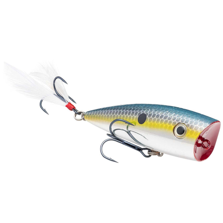 KVD Splash Topwater Strike King Lure Company Chrome Sexy Shad 